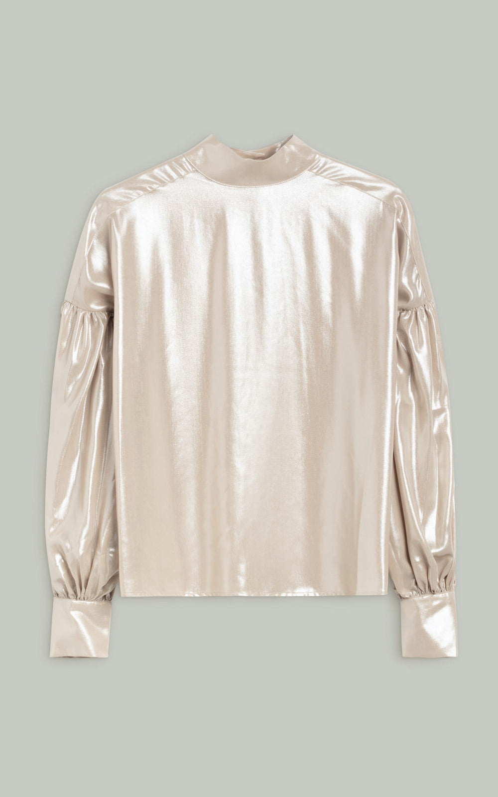 Metallic Blouse